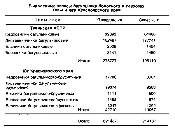Выявленные запасы багульника болотного в лесхозах Тувы и юга Красноярского края
