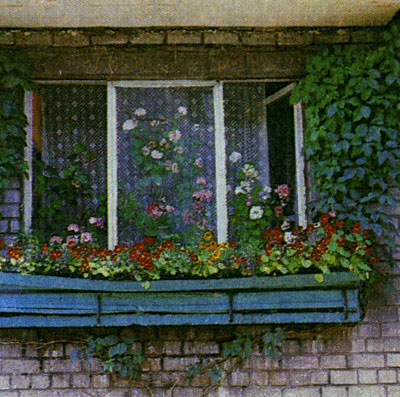 Хорошо сочетаются цветы, выращенные на подоконниках снаружи дома, с комнатными растениями внутри квартиры