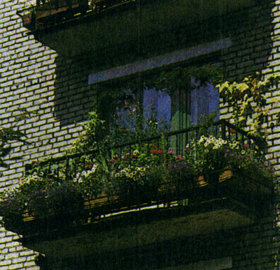 Озелененный балкон на притененной южной стороне дома