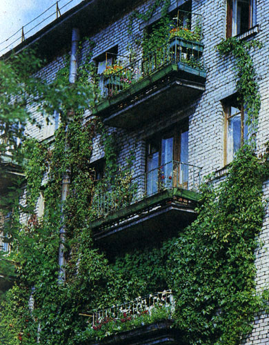 Озеленение стены дома вьющимися растениями в сочетании даже с небольшим количеством цветов на балконах выглядит красиво