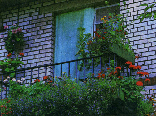Внутри балкона используются подвесные горшки и ящики для цветов, дополняя основные посадки в наружных ящиках 