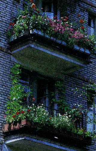 Цветы на балконах