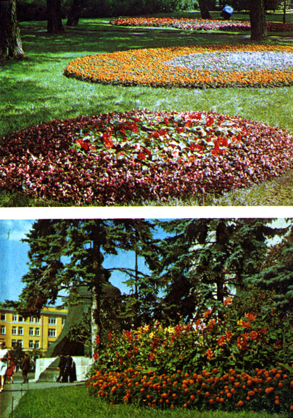 Таблица XIII. Приемы оформления: группы цветов на фоне газона; группы цветов на фоне деревьев и кустарников