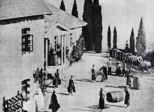 Винные погреба Никитского сада. 1895 г. Фотоархив