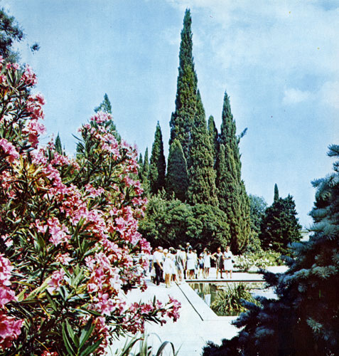 Excursionists in the Upper Park, Oleander in bloom