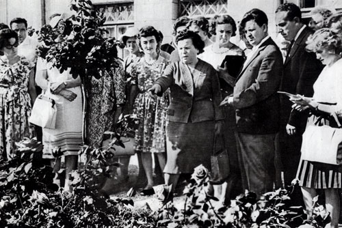 Participants in the АН-Union Conference of Rose Culturists visiting the rosarium, 1973, Archives photo 