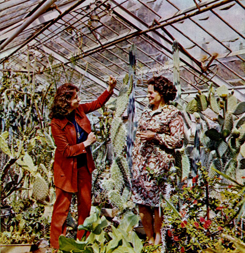 The Nikitsky Garden's greenhouse has a rich collection of cactuses