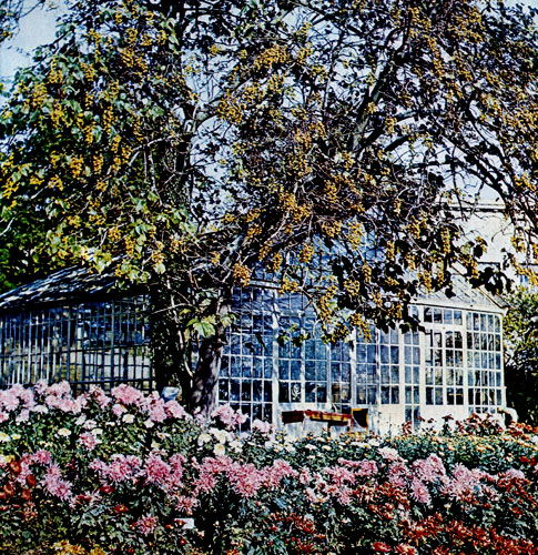  Greenhouse in the Upper Park