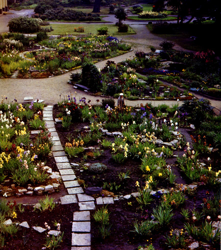 3. The Iris garden at the Botanical Garden of the USSR Academy of Sciences Institute of Botany, Leningrad