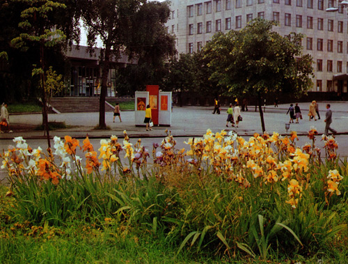 4. Irises in front of the cinema 