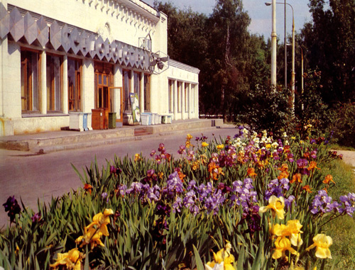 5. Groups of irises near the pavillion 