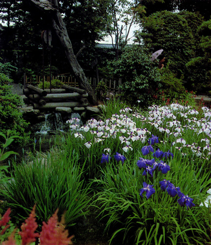 26. A corner in the Tokyo park