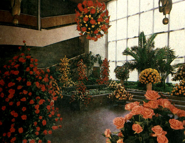 Реферат: История флористики как направление в цветоводстве